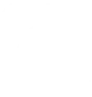 ORWO Distribution
